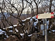 CORNAGERA e POIETO innevati ad anello da Aviatico-Cantul (3dic21)  - FOTOGALLERY